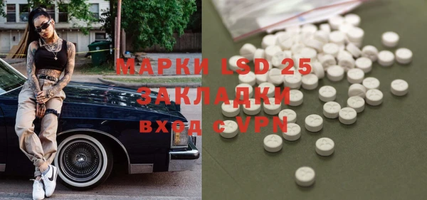 прущие грибы Алексеевка
