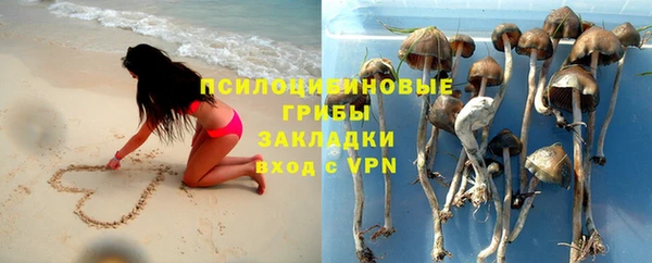 прущие грибы Алексеевка